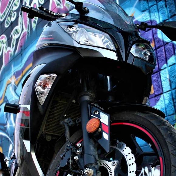 Meet your Posher, Lexie - Picture 1 of 1